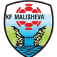 马利舍瓦 logo
