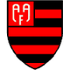 弗拉门戈AA青年队 logo