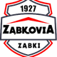 维亚扎布基 logo
