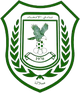 伊蒂哈德塞拉莱 logo