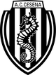 切辛纳女足 logo