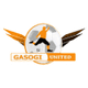 加索基 logo